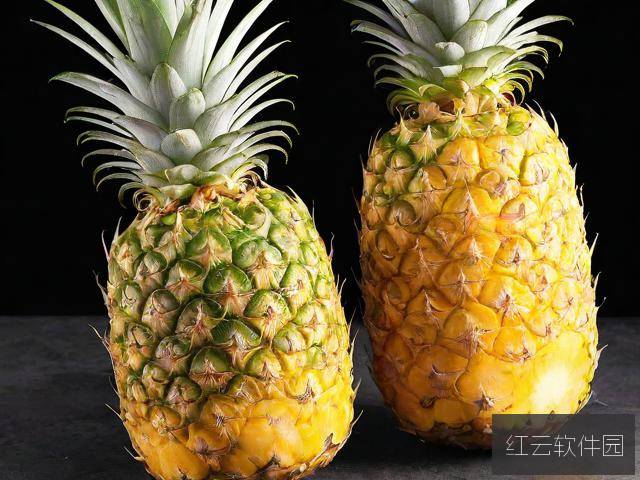 大菠萝福建导航网址全面解析，揭秘网站排行与用户体验