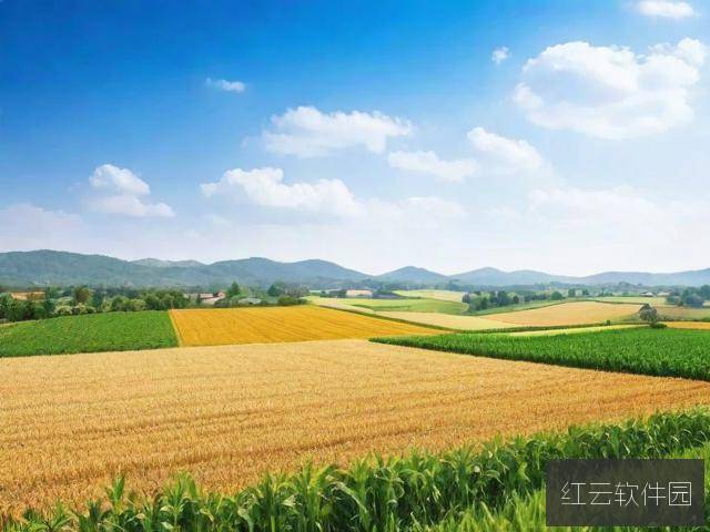99品一、二、三产区区别解析，从游戏视角看品质差异