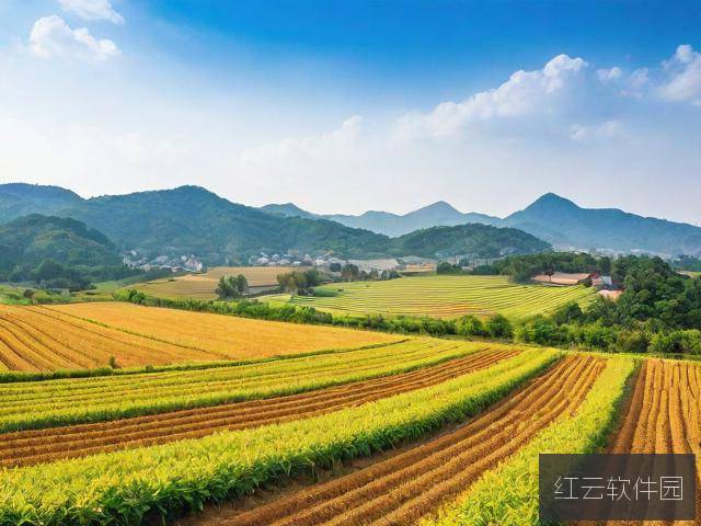 亚洲一线产区与二线产区的划分依据及其经济影响