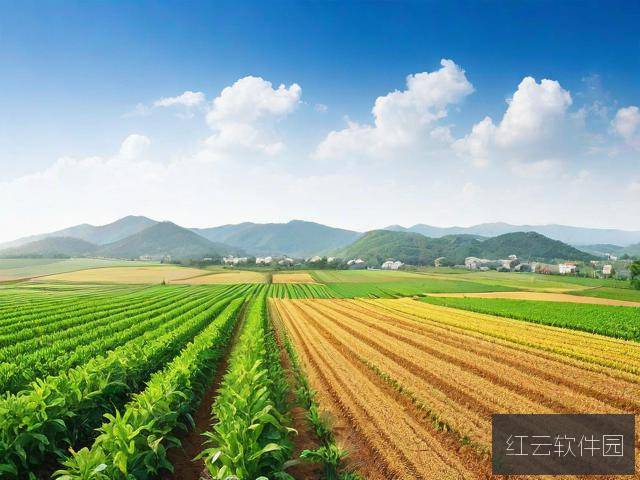 亚洲一线产区与二线产区的区别,产业布局与经济发展对比