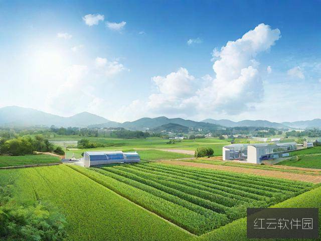 精产国品一二三产区区别，手机制造业的层级解析